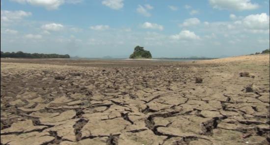 Conspiracy surrounds agriculture crisis in south